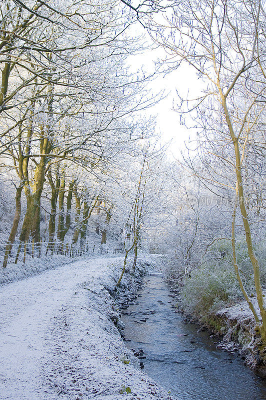 Wintry stream